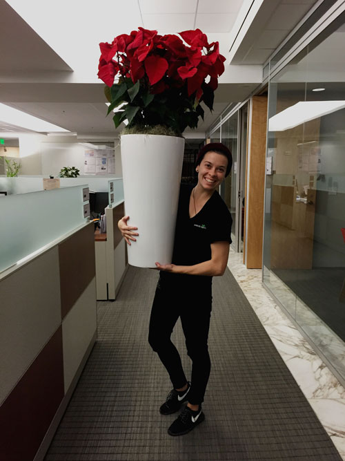 A woman smiling in an office, holding a large bright red Poinsettia plant staged in a tall white cylinder container.
