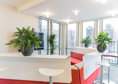 A modern office break room with red seating area and three white tables with medium sized Aglaonema plants in grey pots on each.