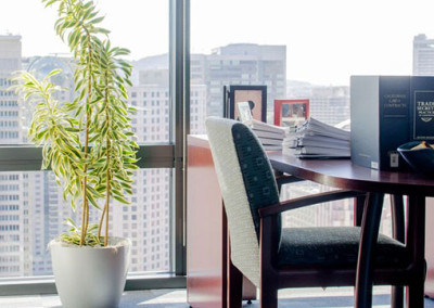 A gorgeous Dracaena Reflexa Pleomele Song of India plant, in a silver pot, staged in a classic law office.