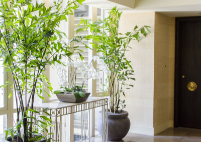 An elegant residential lobby with two large Caryota Mitis Fishtail Palms, staged around a table displaying a classic white Phalaenopsis Orchid arrangement.