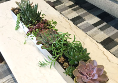 An image of a long rectangle medium sized succulent arrangement, with bright purple and green succulents inside a metal container, on top of a coffee table in a well lit office.