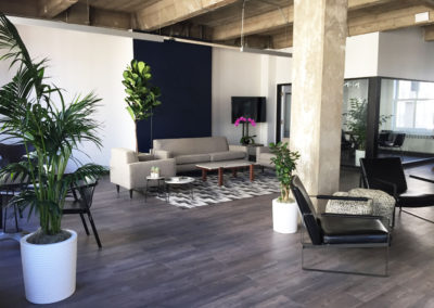 A loft office area with bright green indoor plants placed around modern furniture and gorgeous hardwood floors and concrete pillars.