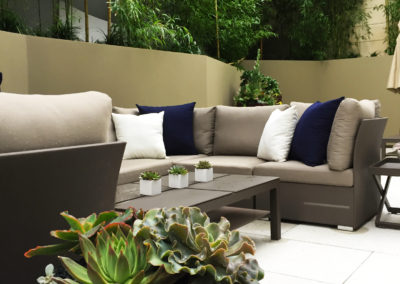 An image of a patio area with furniture, a succulent arrangement in a round white pot, and 3 small square pots with single succulents potted in each, in front of tall bamboo in the background.